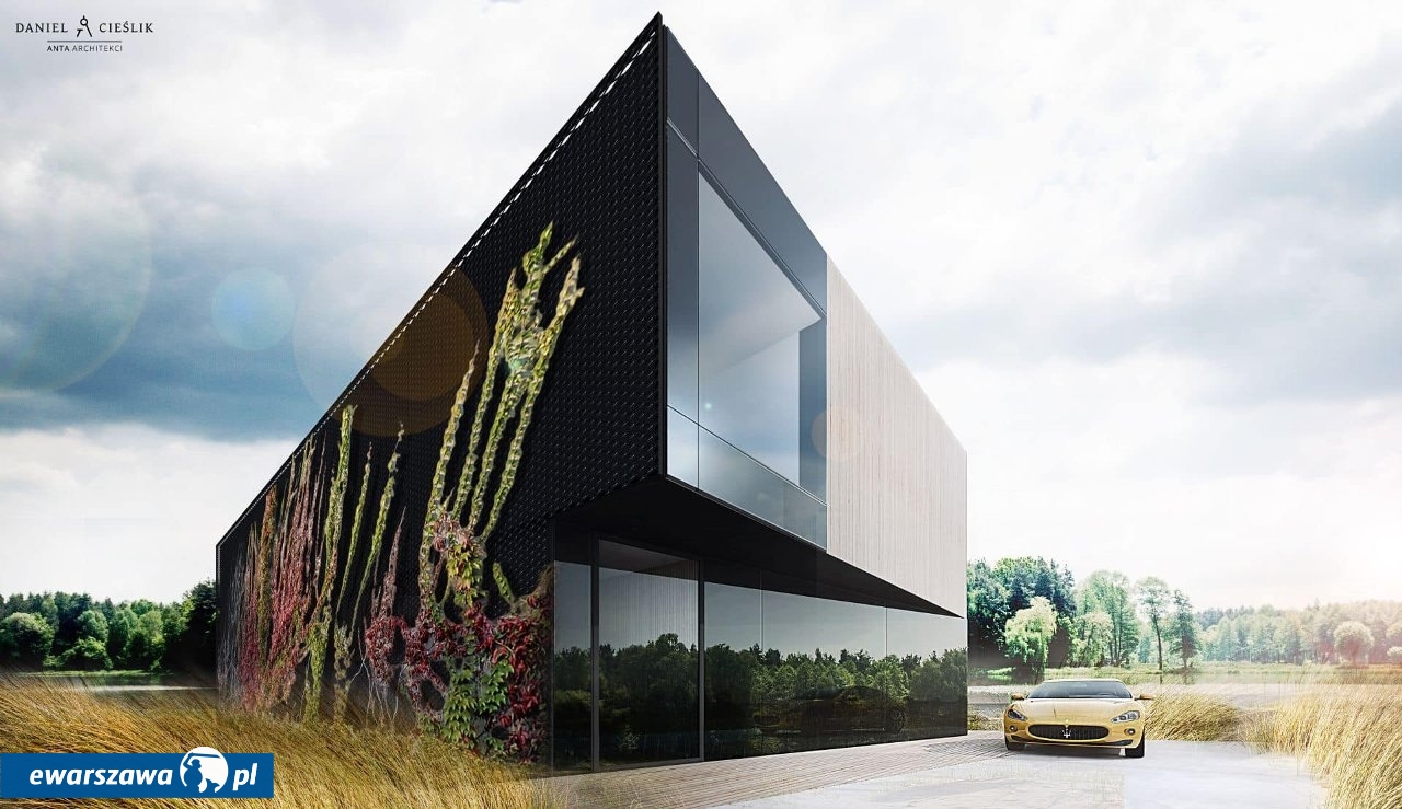 wizualizacja domu Mai Bohosiewicz | fot. anta-architekci.pl