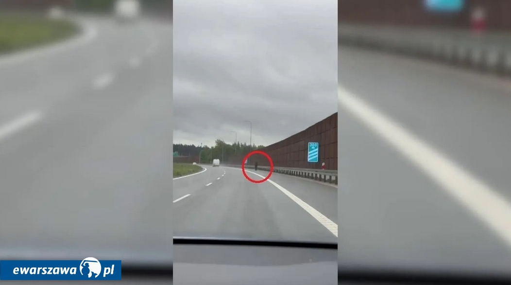 Mężczyzna spacerujący ruchliwą trasą S7 | fot. KPP w Piasecznie