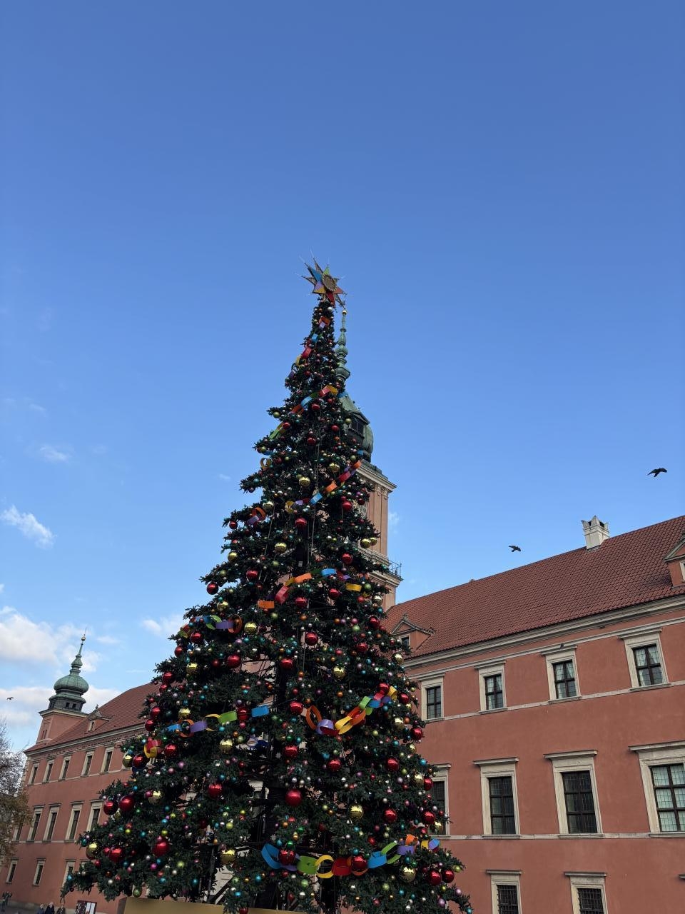 choinka na Placu Zamkowym w Warszawie | fot. Bartosz Pańczyk