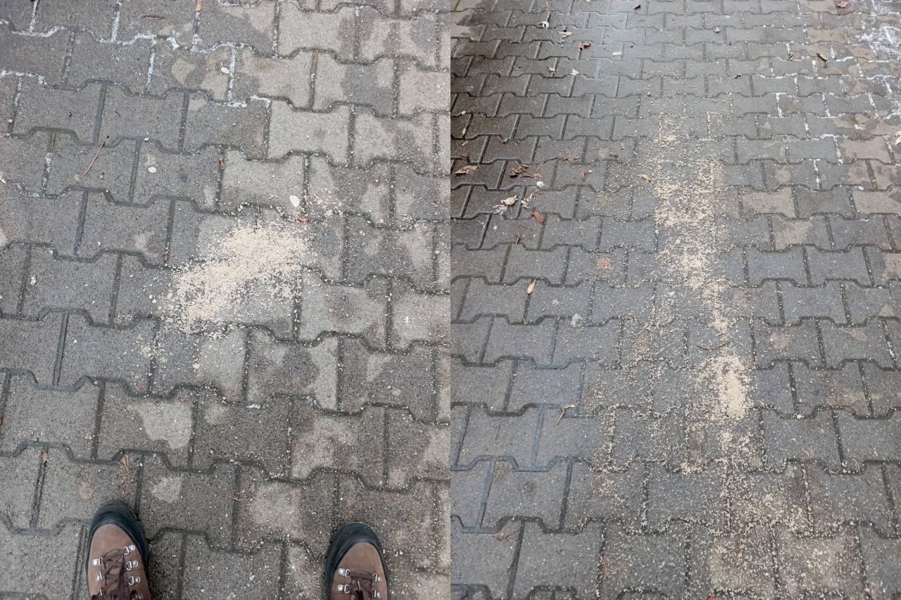 chodnik na Bielanach obsypany solą | fot. Paweł D./facebook