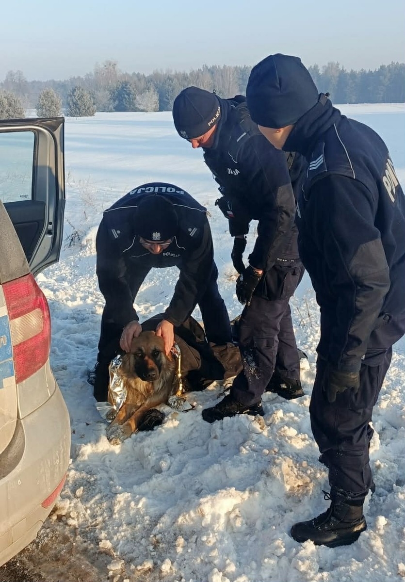zamarznięty pies z regionu | fot. mazowiecka.policja.gov.pl