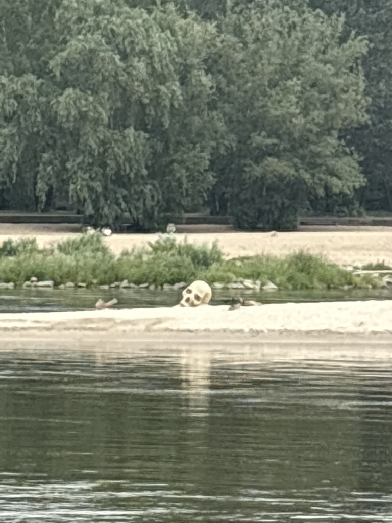 wielka czaszka przy Poniatówce | fot. Robert Sosnowski