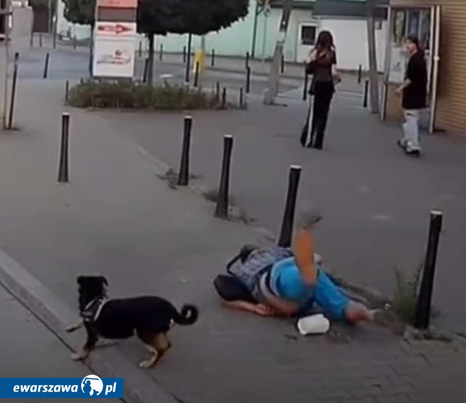 fot. Kadr filmu autorstwa driversofwarsawstreet/TikTok.